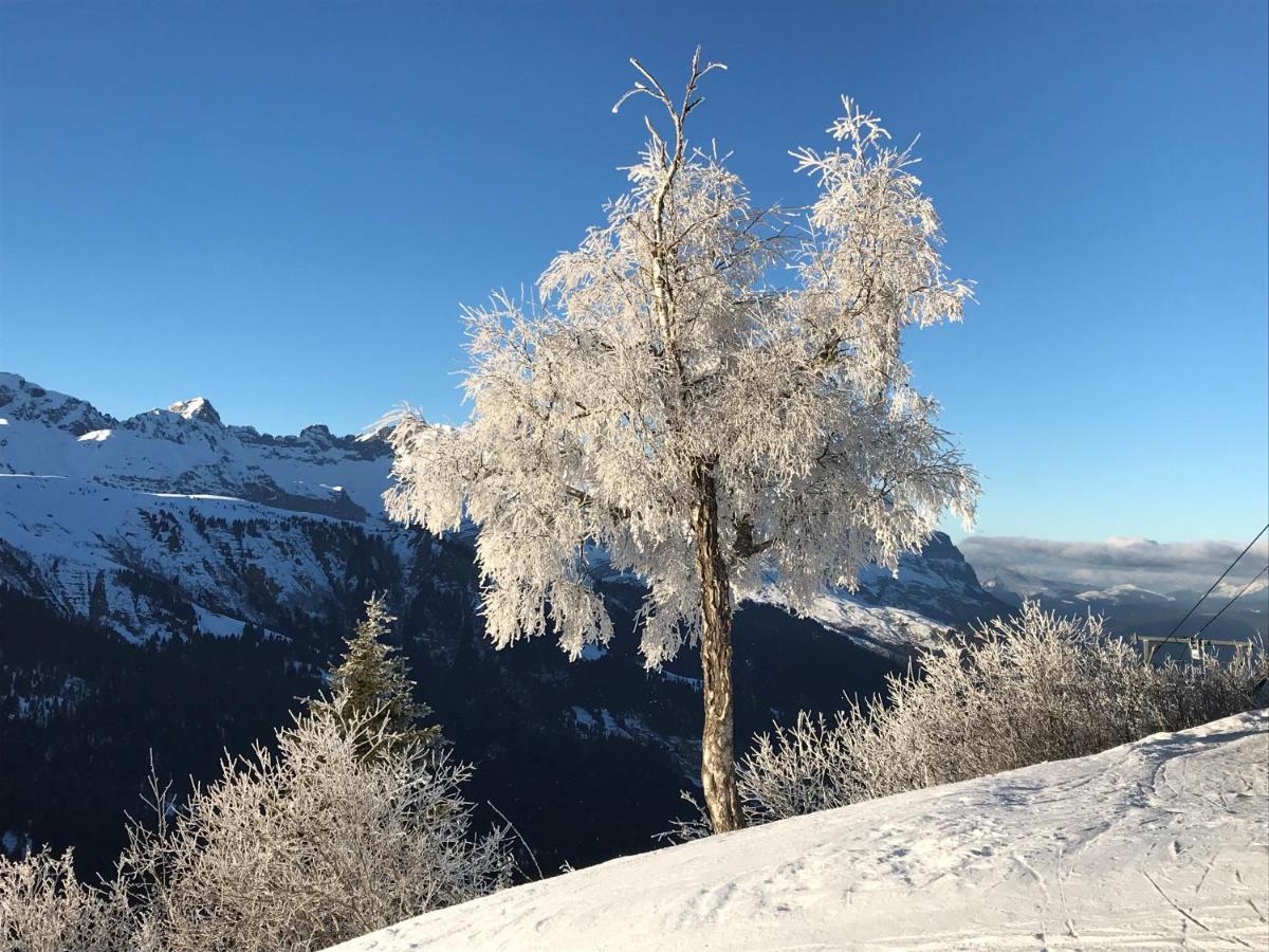 Luxury 2 Bedroom Apartment With View Of Mont Blanc Combloux Eksteriør bilde